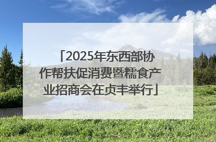 2025年东西部协作帮扶促消费暨糯食产业招商会在贞丰举行