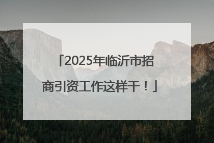 2025年临沂市招商引资工作这样干！