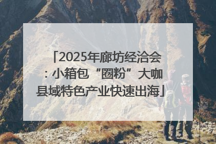 2025年廊坊经洽会：小箱包“圈粉”大咖 县域特色产业快速出海