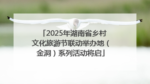 2025年湖南省乡村文化旅游节联动举办地（金洞）系列活动将启
