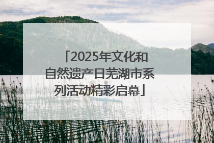 2025年文化和自然遗产日芜湖市系列活动精彩启幕