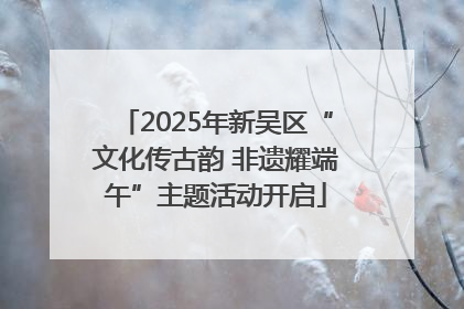 2025年新吴区“文化传古韵 非遗耀端午”主题活动开启