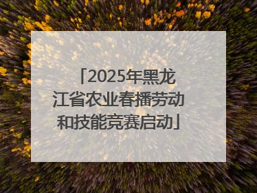2025年黑龙江省农业春播劳动和技能竞赛启动