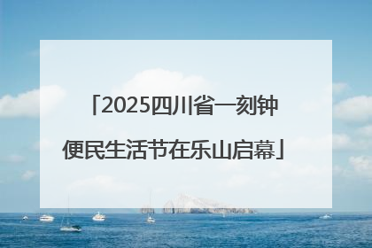 2025四川省一刻钟便民生活节在乐山启幕