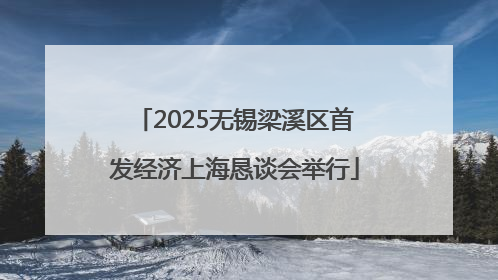 2025无锡梁溪区首发经济上海恳谈会举行