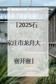 2025石家庄市龙舟大赛开赛
