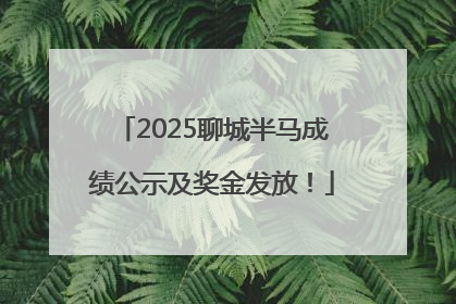 2025聊城半马成绩公示及奖金发放！