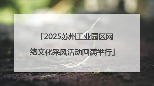 2025苏州工业园区网络文化采风活动圆满举行
