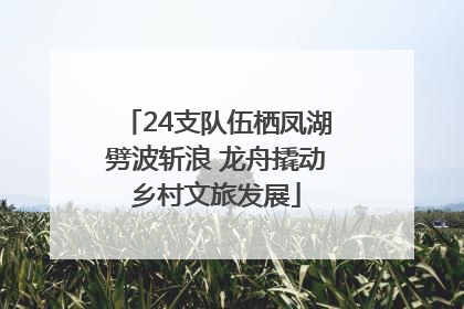 24支队伍栖凤湖劈波斩浪 龙舟撬动乡村文旅发展