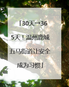 30天→365天！温州鹿城五马街道让安全成为习惯