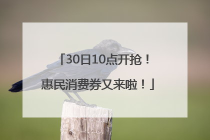 30日10点开抢！惠民消费券又来啦！