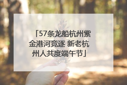 57条龙船杭州紫金港河竞逐 新老杭州人共度端午节