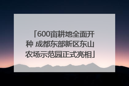 600亩耕地全面开种 成都东部新区东山农场示范园正式亮相