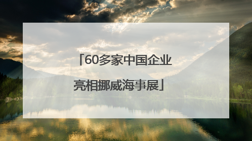60多家中国企业亮相挪威海事展