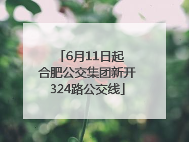 6月11日起 合肥公交集团新开324路公交线