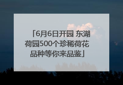 6月6日开园 东湖荷园500个珍稀荷花品种等你来品鉴