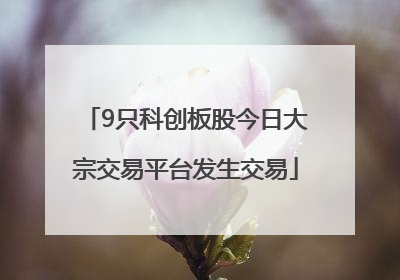 9只科创板股今日大宗交易平台发生交易