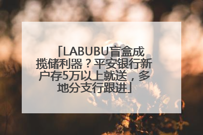 LABUBU盲盒成揽储利器？平安银行新户存5万以上就送，多地分支行跟进