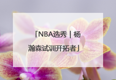 NBA选秀｜杨瀚森试训开拓者