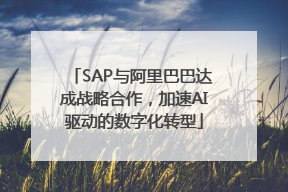 SAP与阿里巴巴达成战略合作，加速AI驱动的数字化转型